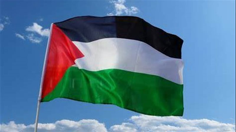 فلسطين، فيتو