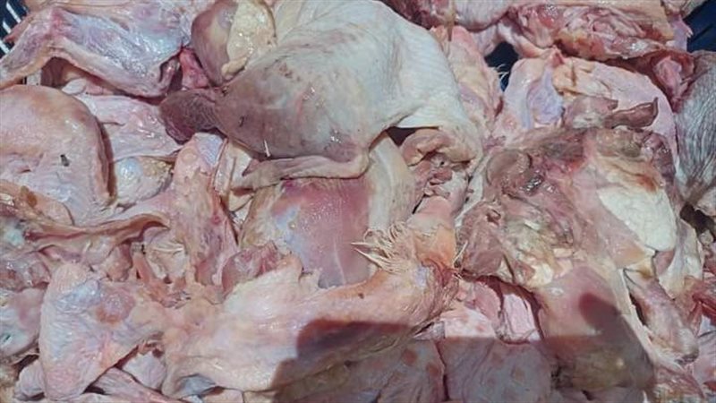 دواجن غير صالحة للاستهلاك