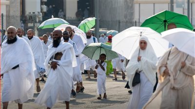 مصر للطيران تسير غدًا 23 رحلة جوية من الأراضي المقدسة 