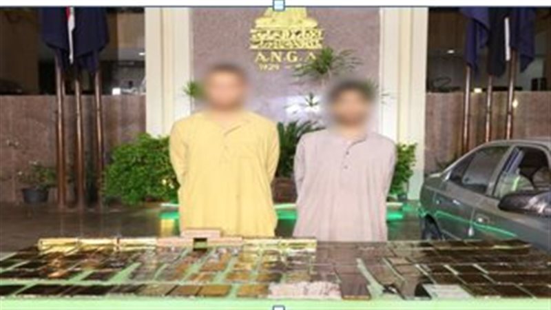 ضبط إثنين من العناصر