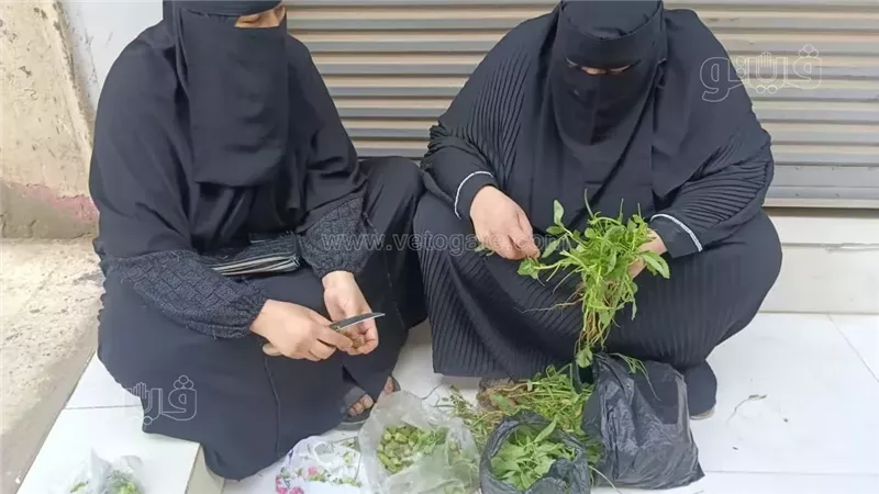 أولياء الأمور ينتظرون