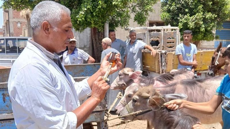 جامعة الزقازيق:قافلةبيطرية