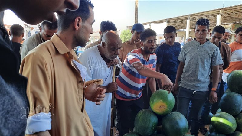 مزاد البطيخ بسوق