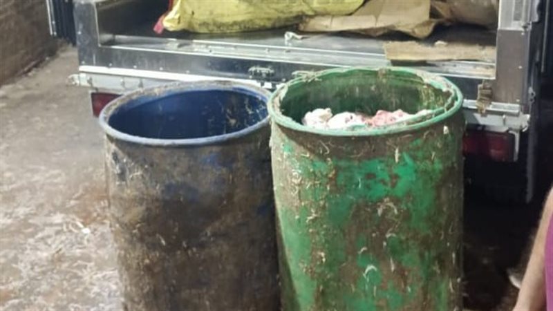 ضبط 17طن لحوم غير