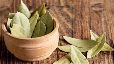 txt