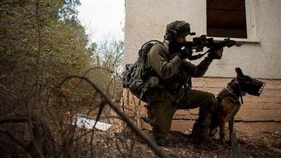 الأمم المتحدة: استخدام الكلاب في الهجوم على الفلسطينيين انتهاك خطير