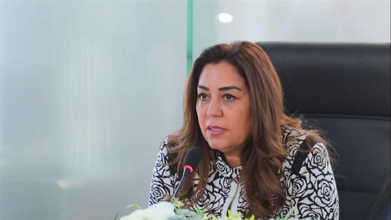 محافظ دمياط