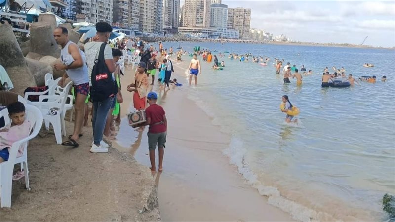 الإسكندرية، فيتو
