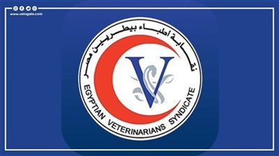 القوائم الكاملة لانتخابات التجديد النصفي للبيطريين بالقاهرة والجيزة