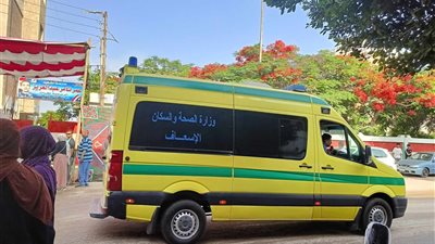 مصرع فتاة في مشاجرة بالقليوبية
