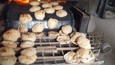 تحرير 76 محضرا خلال حملة تموينية في تلا بالمنوفية 
