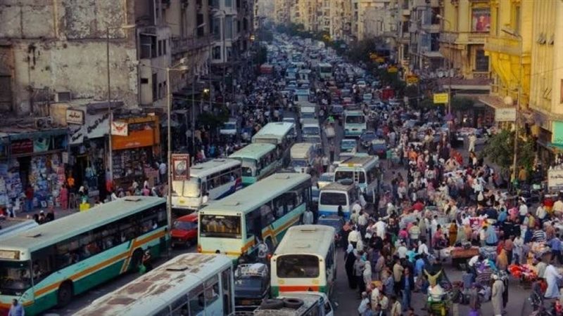 عدد سكان مصر، فيتو