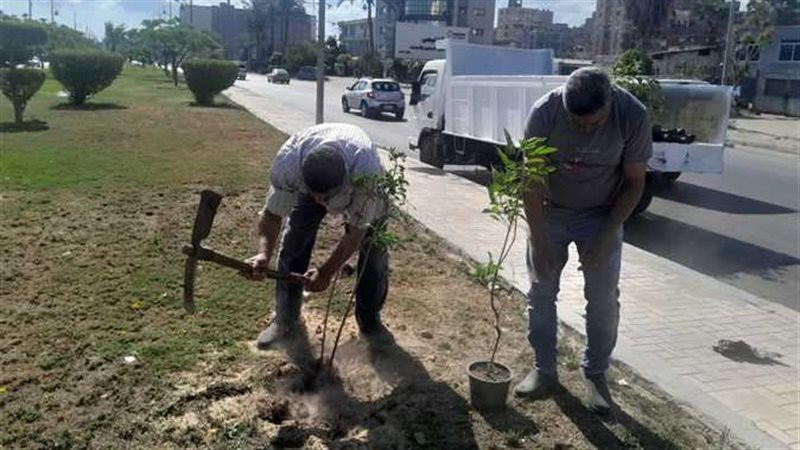 متابعة مبادرة زراعة