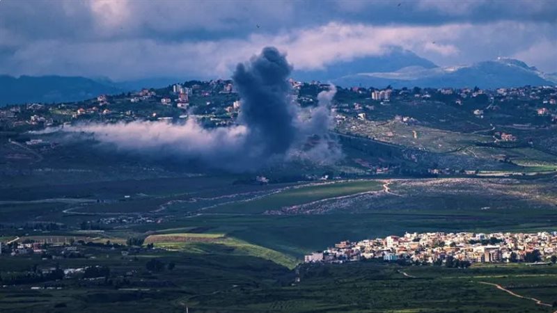 جنوب لبنان، فيتو