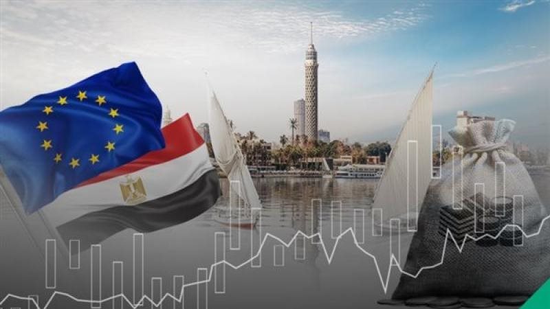  الاستثمار المصري