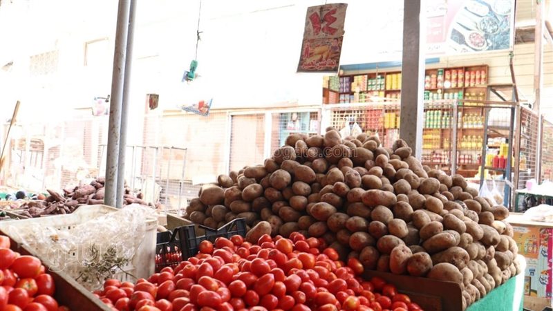 أسعار الخضراوات في