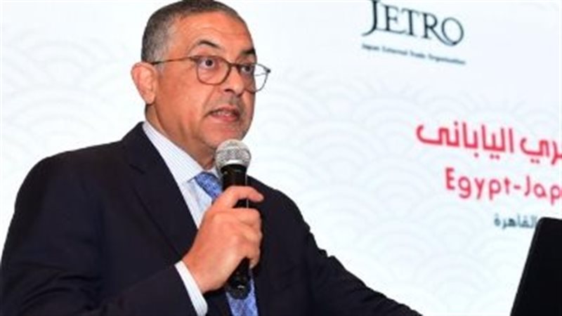 حسام هيبة رئيسة الهئية