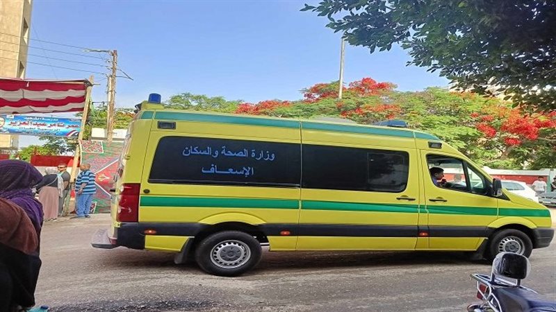 طعن سائق، فيتو 