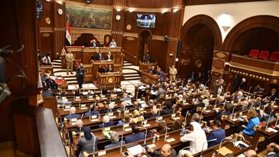 الشيوخ يحيل تقارير إلى الحكومة ويوصي بتنفيذ توصياتها، تعرف عليها