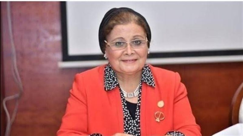  عبلة الألفي نائب