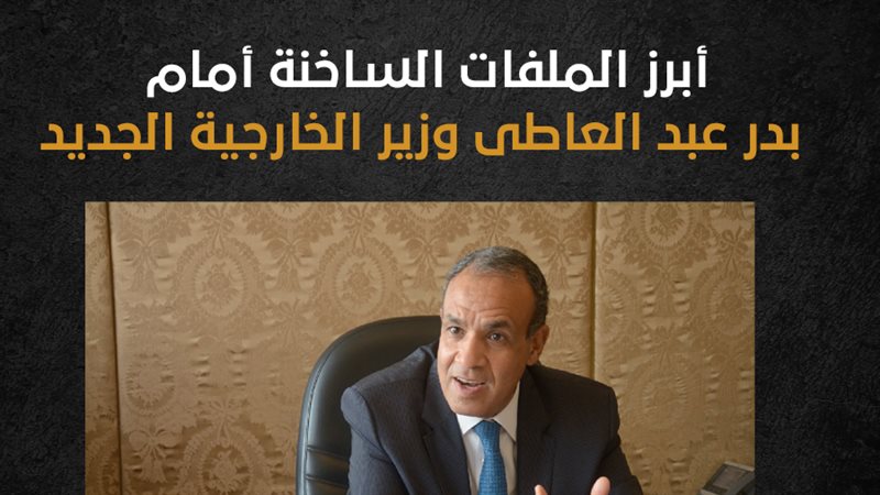 بدر عبد العاطى وزير