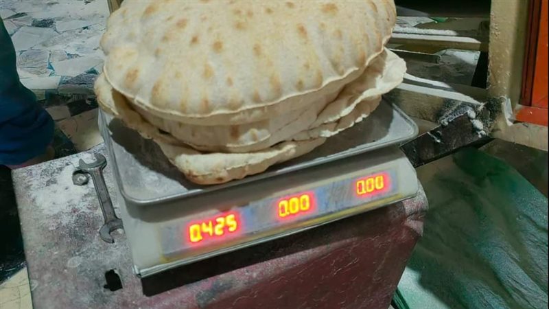 حملات تموينية بالدقهلية،