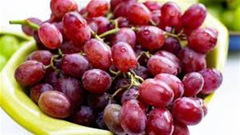 تفسير حلم العنب الأحمر