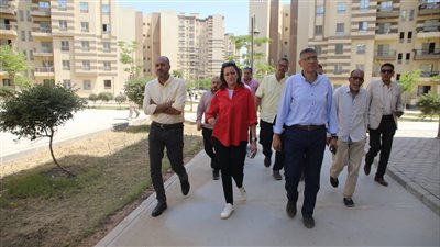 محافظ الجيزة: إنشاء مسطحات خضراء بالطرق المؤدية للمتحف المصري الكبير 
