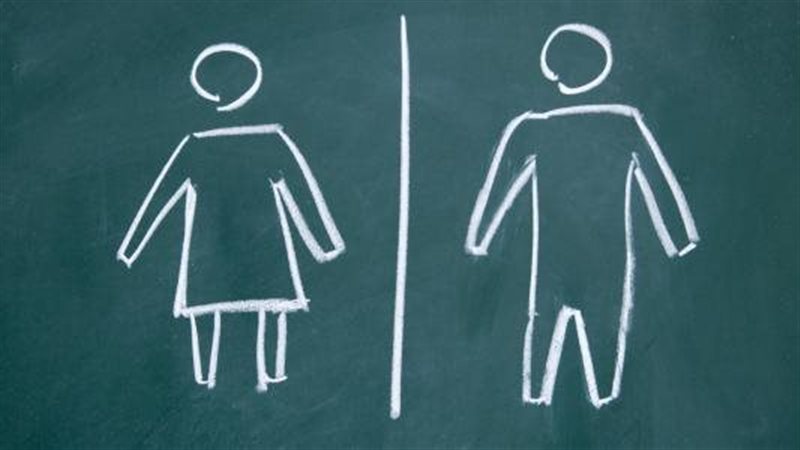 ضوابط الاختلاط بين