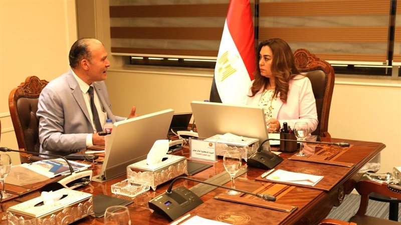 وزيرة التنمية المحلية،