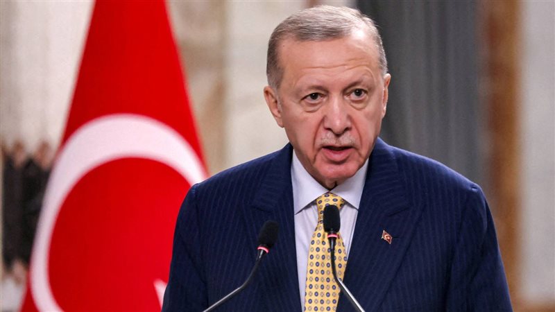 أردوغان، فيتو