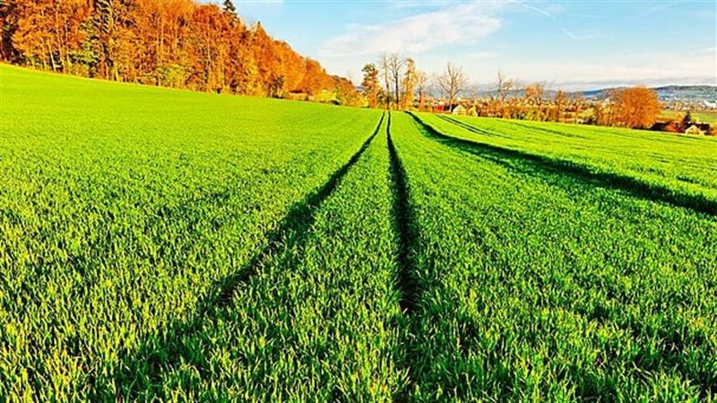 تفسير حلم الزرع في