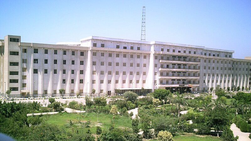 جامعة بني سويف، فيتو