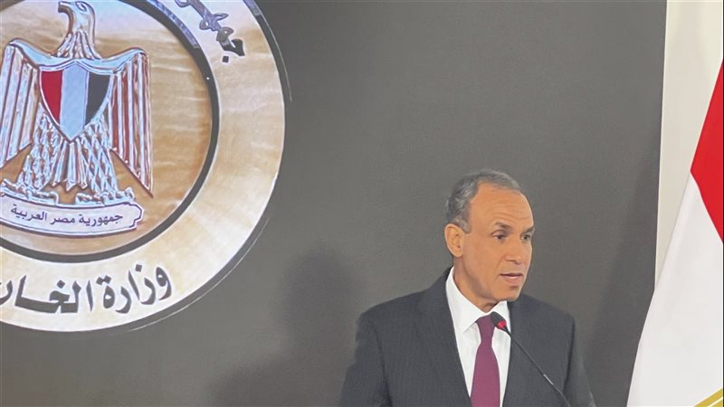 بدر عبد العاطى وزير