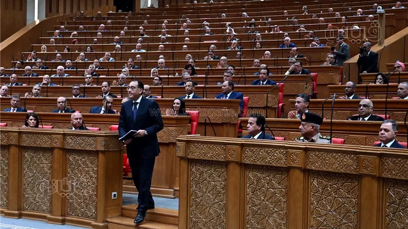 رئيس الوزراء،فيتو
