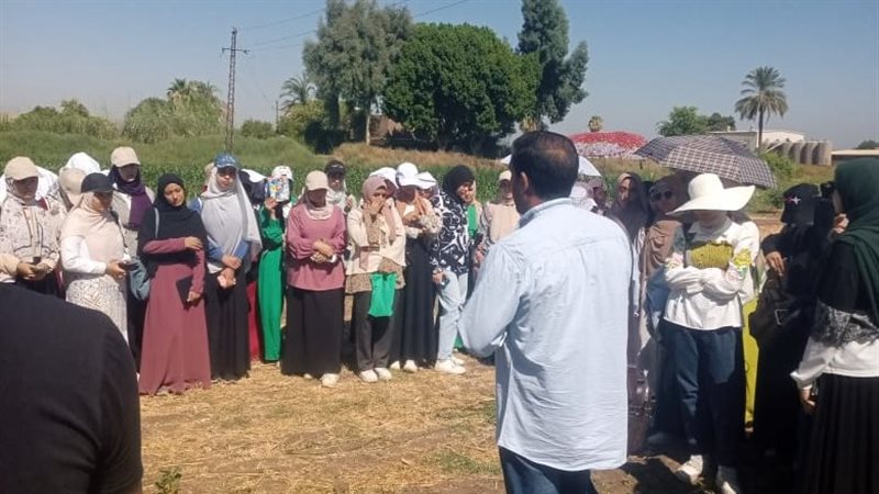 البحوث الزراعية،فيتو