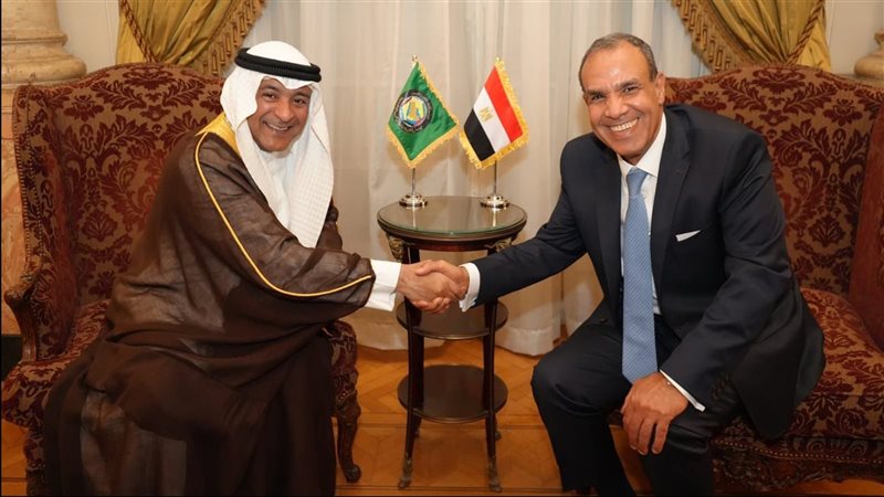 بدر عبد العاطى وزير