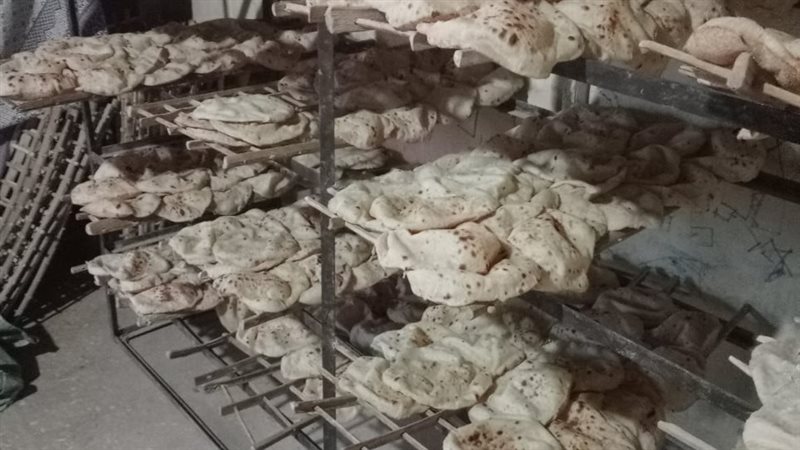 حملات تموينية بالقليوبية،