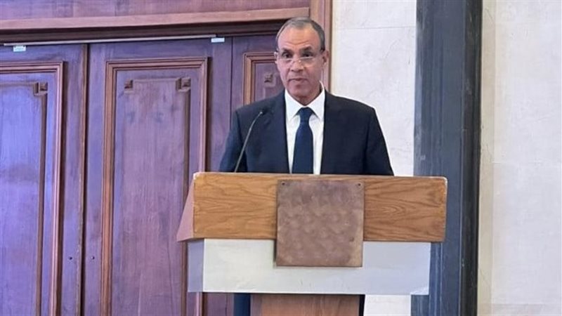 بدر عبد العاطى وزير
