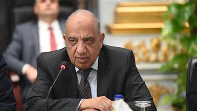 أول تكليف من وزير الكهرباء لمواجهة ظاهرة سرقة التيار 