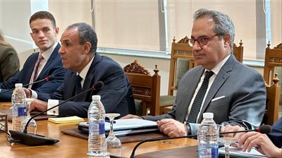 وزير الخارجية: لابد من العمل على تعزيز الشراكات الاقتصادية والتجارية بآسيا والترويج لفرص الاستثمار الواعدة في مصر