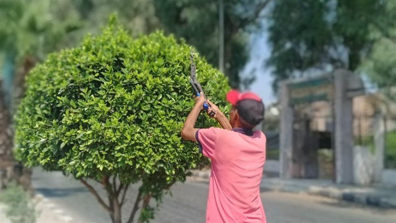 تطوير الطريق الدائري