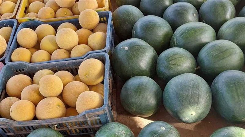  أسعار الفاكهة اليوم،