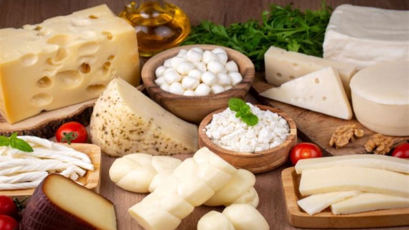 سعر منتجات الألبان