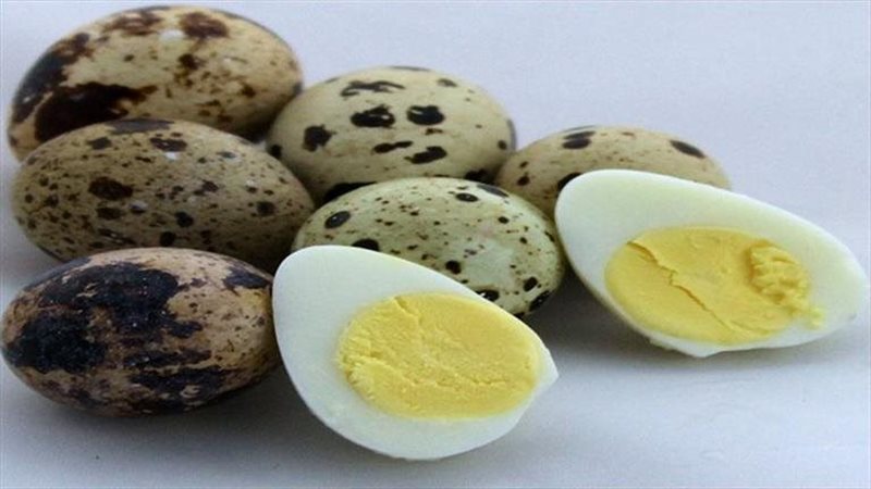 بيض السمان 