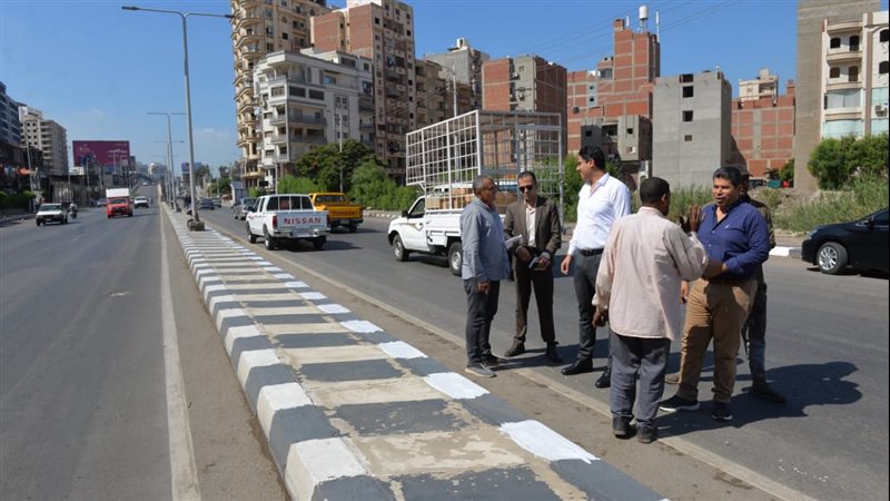 جوبة نائب محافظ الدقهلية