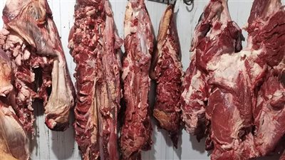 الطب البيطرى: إعدام 4 عجول وضبط 65 طن لحوم فاسدة وتحرير 1061 محضرًا 