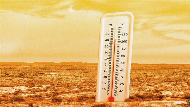 حالة الطقس غدا، فيتو