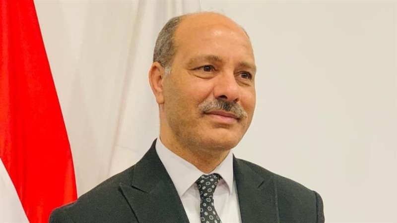 تعليم الإسكندرية،