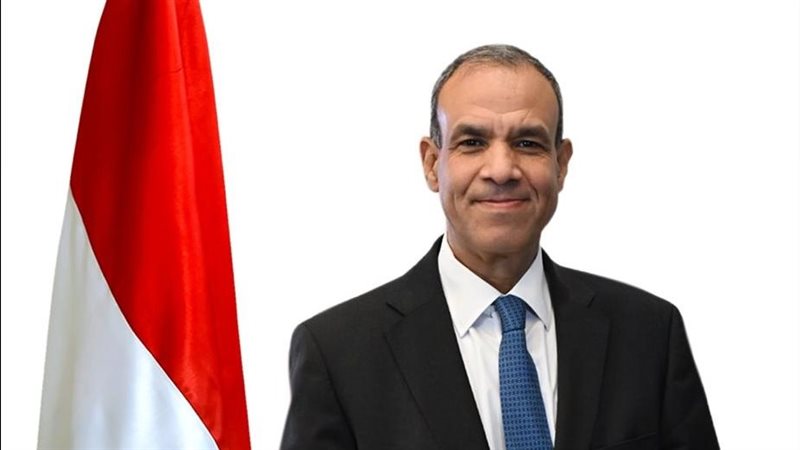 بدر عبد العاطى وزير